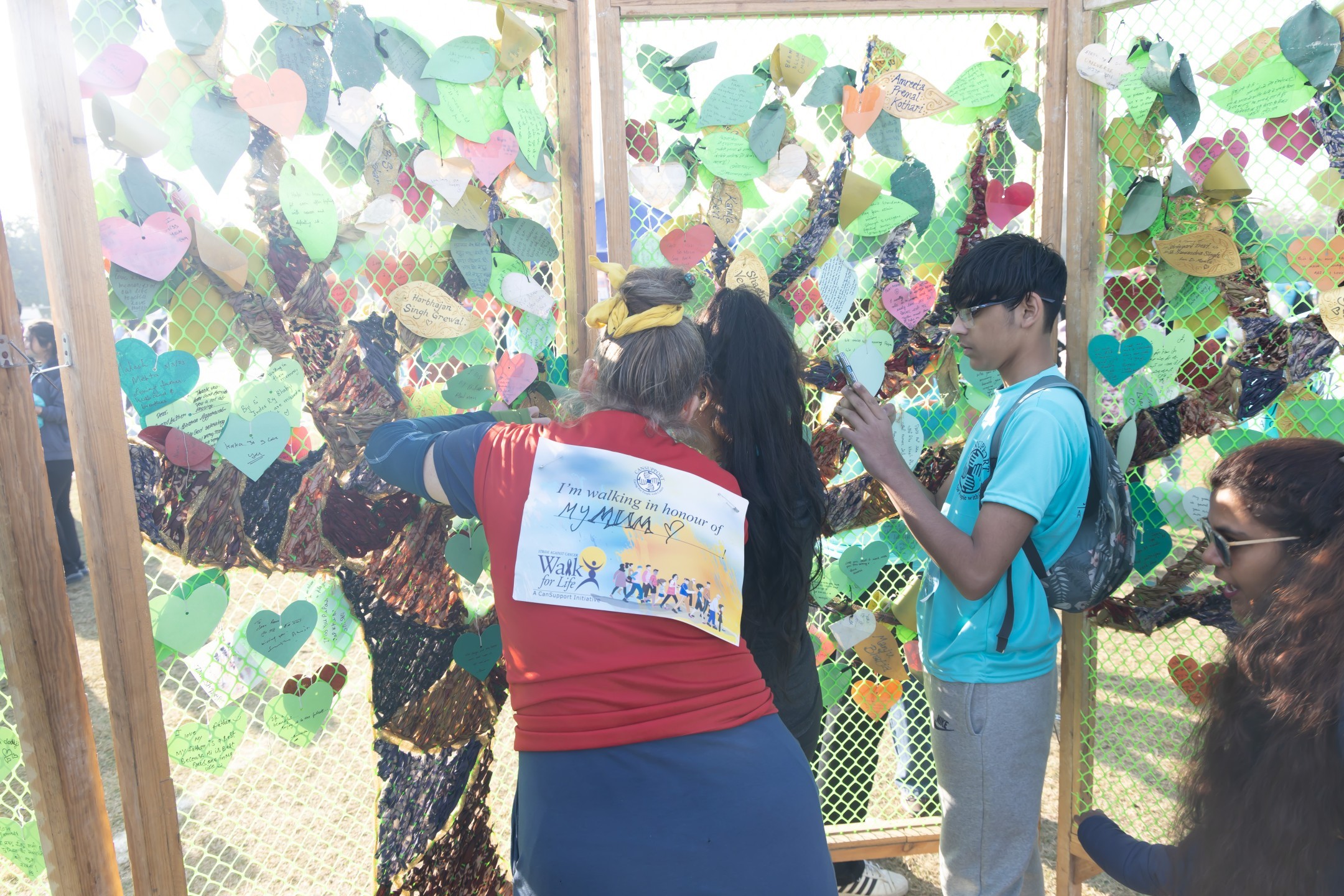 Copy of 698c349804edf2b985bb858d